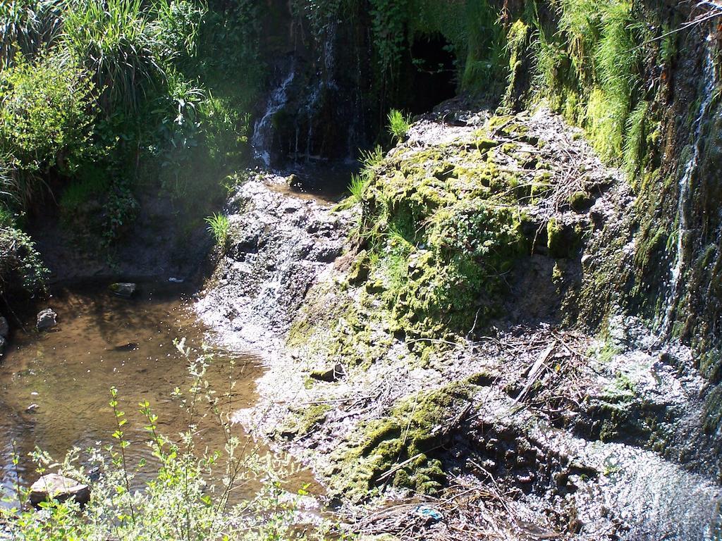 Hostellerie Restaurant Les Gorges De L'Aveyron ブルニケル エクステリア 写真